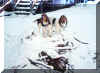 tanner & dooley, snow kings.jpg (30852 bytes)